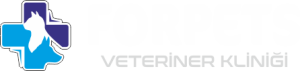 retina-animal-shelter2